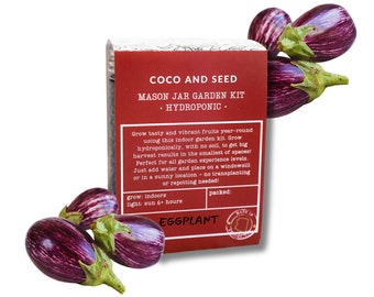 Container Eggplant Garden Kit, Hydroponic Grow Kit, Indoor Garden Kit, Self-Watering Grow Kit