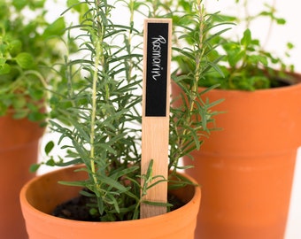 Herb plugs Herb sign Plant plugs set (5/10/20 pieces) for labeling Plugs Garden gift Herbs Herb garden reusable