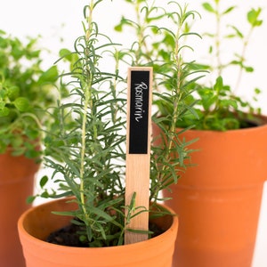 Kräuterstecker Kräuterschild Pflanzstecker zum Beschriften Stecker Hochbeet Garten Geschenk Kräuter Kräutergarten wiederverwendbar Eiche