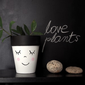 Terracotta plant pot hand painted with the funny face, ceramic pot with drainage hole, multiple sizes available, image 1