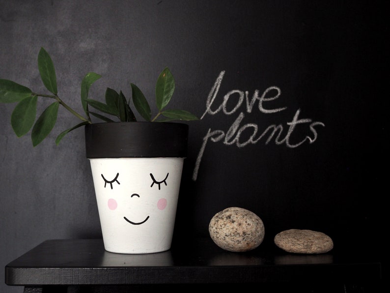 Terracotta plant pot hand painted with the funny face, ceramic pot with drainage hole, multiple sizes available, image 1