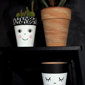 Terracotta plant pot hand painted with the funny face, ceramic pot with drainage hole, multiple sizes available, image 5