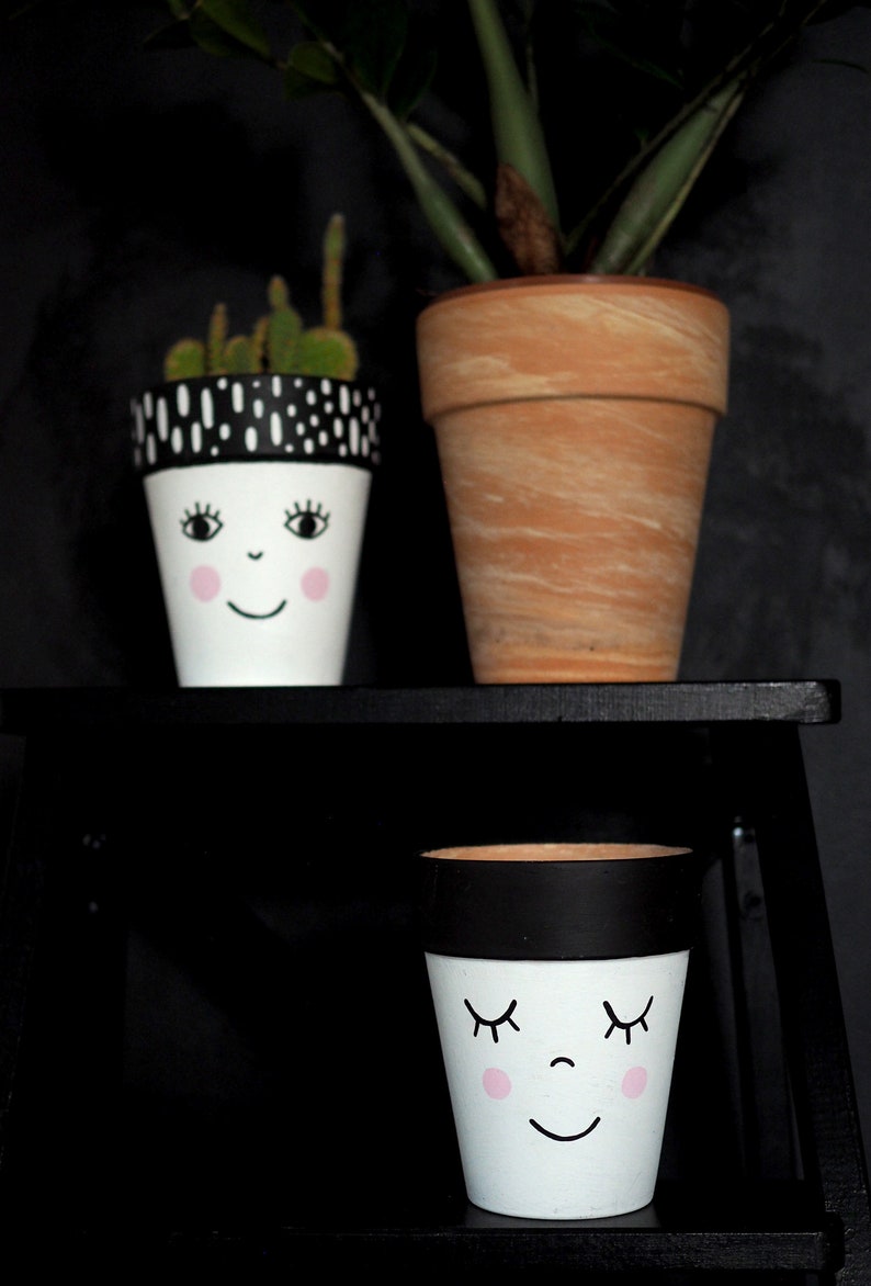 Terracotta plant pot hand painted with the funny face, ceramic pot with drainage hole, multiple sizes available, image 5