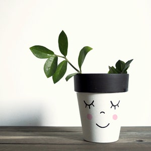 Terracotta plant pot hand painted with the funny face, ceramic pot with drainage hole, multiple sizes available, image 3