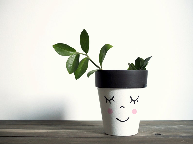Terracotta plant pot hand painted with the funny face, ceramic pot with drainage hole, multiple sizes available, image 3