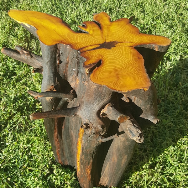 Tree Stump Table Etsy