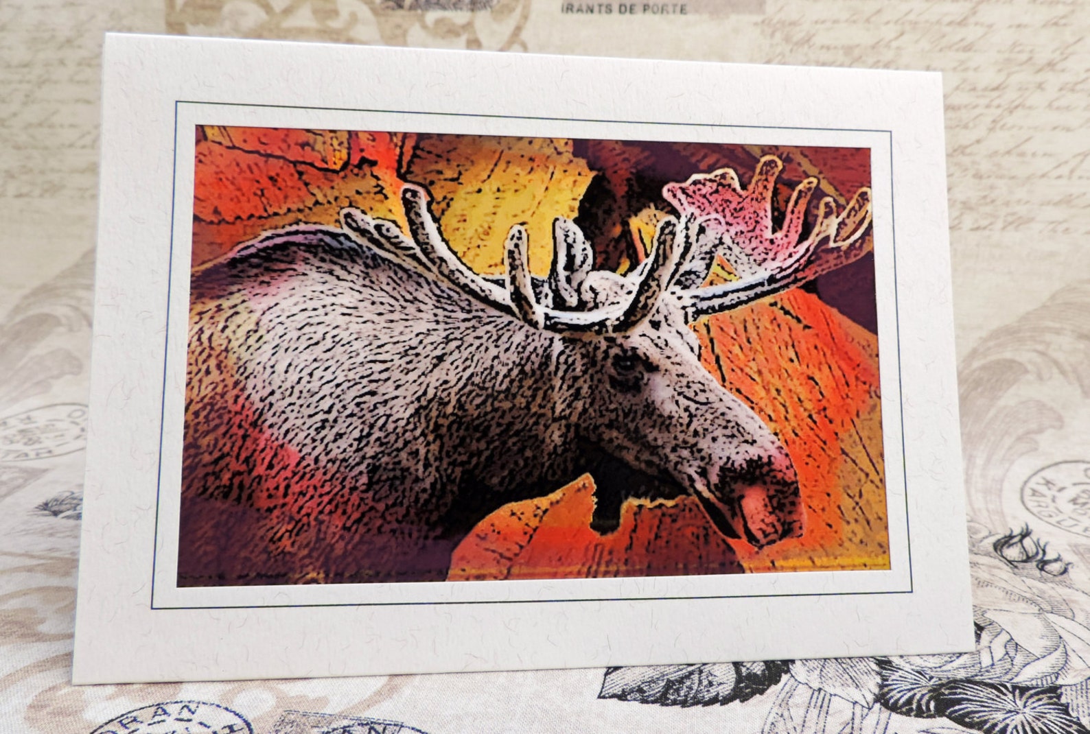 Moose Greeting Card Moose Art Card Moose Photo Art | Etsy
