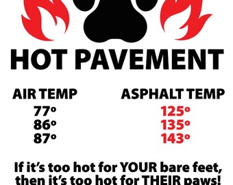 Dog Temperature Chart How Cold To Walk Dog Do Dogs Get Cold In