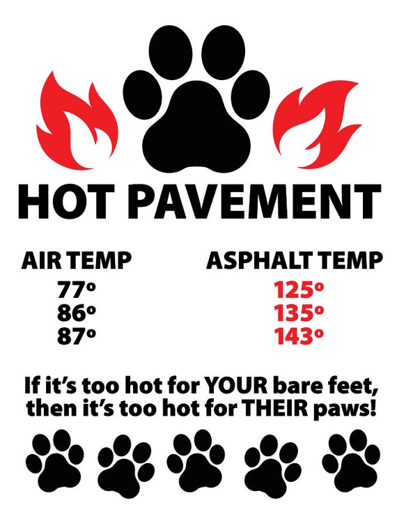 Paws hot dog online