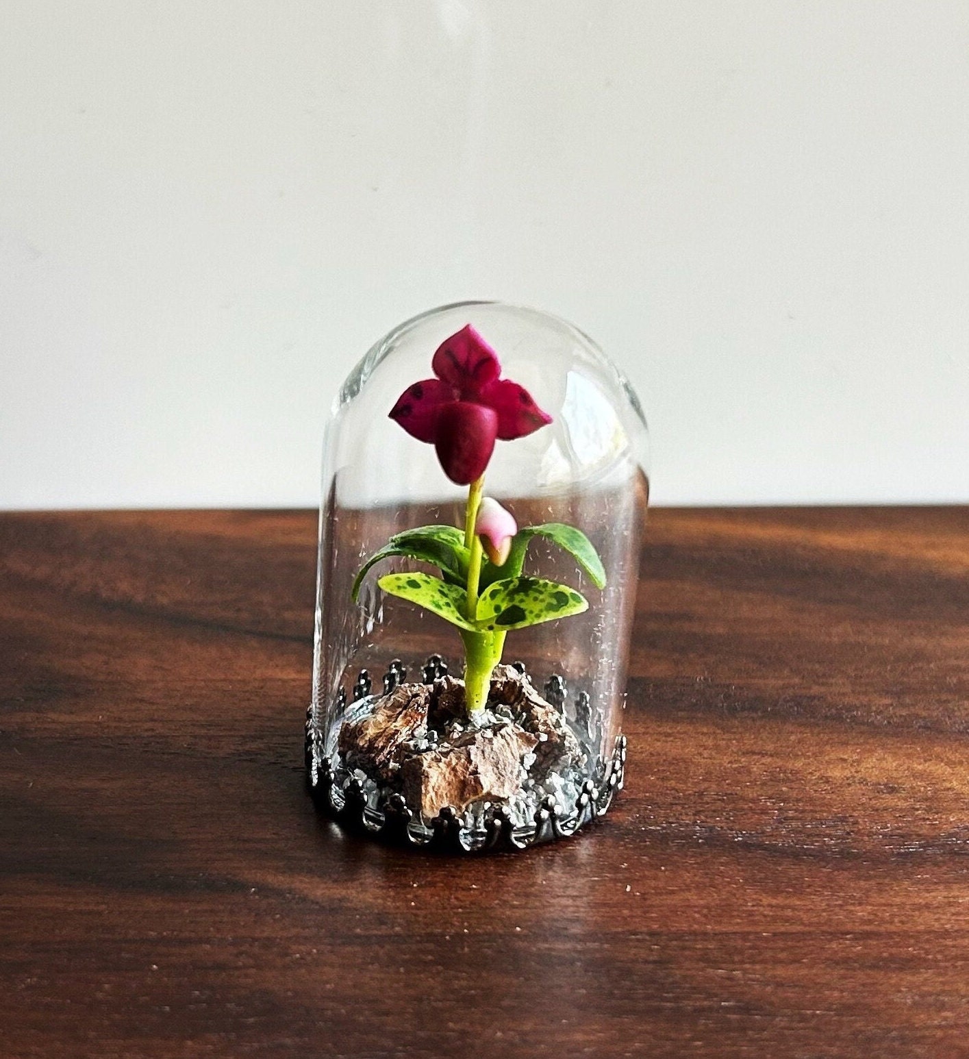 Tiny Lady Slipper Orchid Glass Dome / Botanical Specimen / Purple
