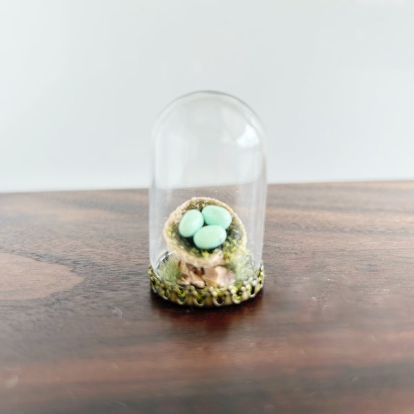 Tiny Robins Egg Nest Diorama / Mini Diorama / Birds Nest / Glass Dome / Robin Eggs / Tiffany Blue / Micro Diorama / Dollhouse / Miniature