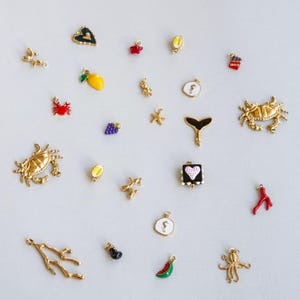 May include: A collection of gold-toned charms with colorful enamel details. The charms include a crab, heart, lemon, grapes, starfish, whale tail, and other sea-themed and food-themed designs. The charms are scattered on a light gray surface.