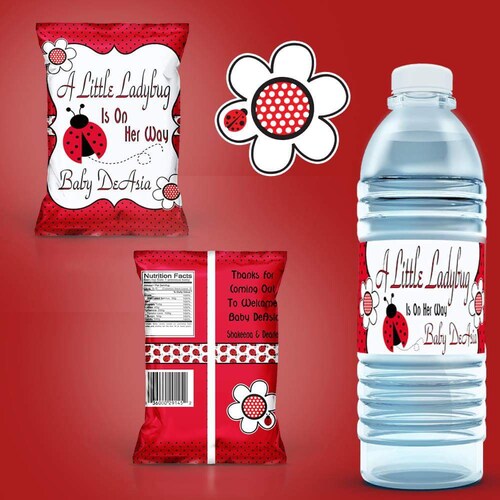 Lady Bug Party Favors Ladybug Printables YOU PRINT Lady Bug - Etsy