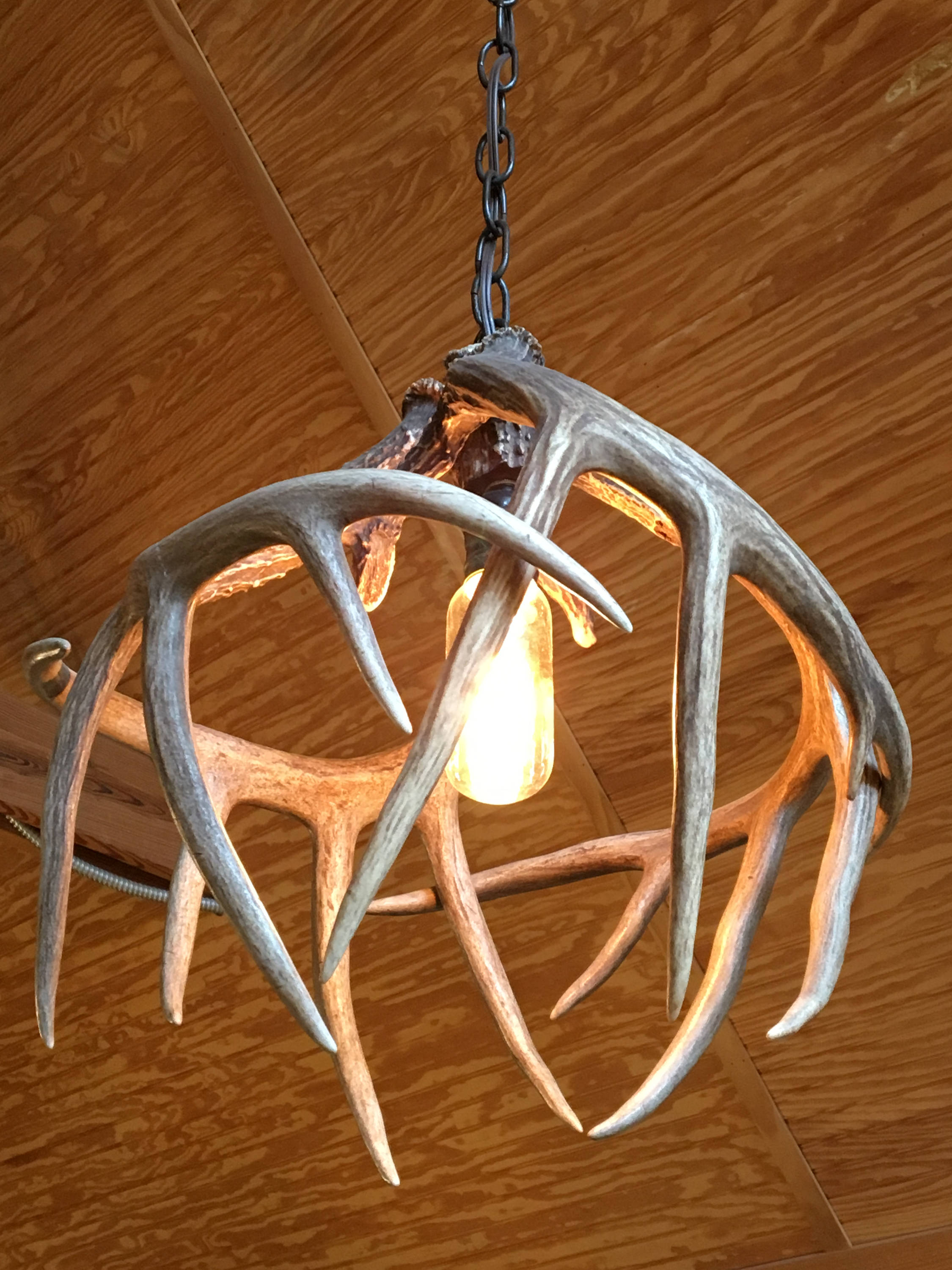 Whitefish Deer Antler Chandelier Rustic Kitchen Island Pendant