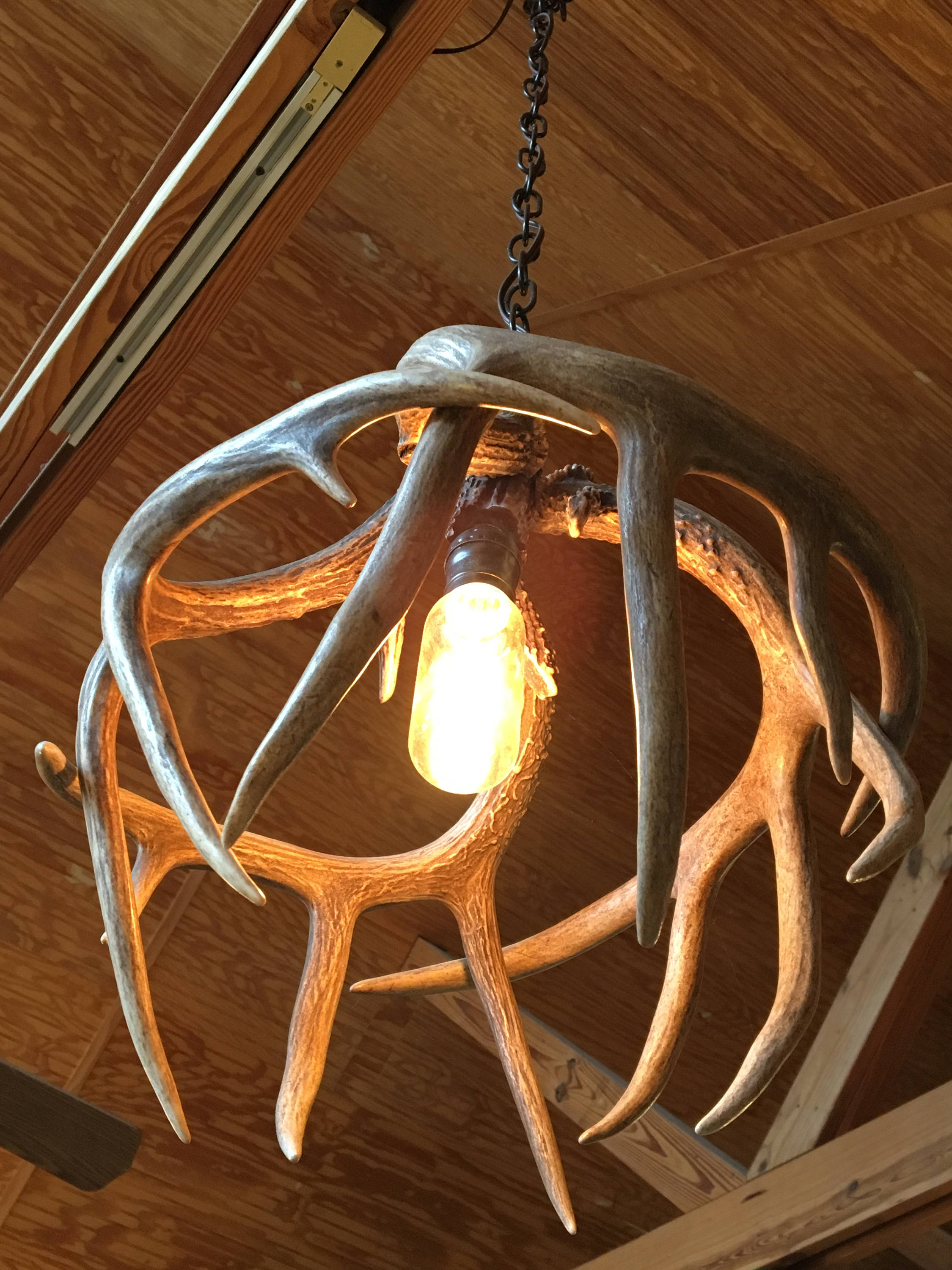 Antler ceiling light sale fixture