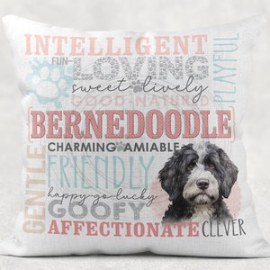 2 BERNEDOODLE • Dog Breed Designs ==> Pet • Pillow • Personality Traits • Digital Download • Template Sublimation Files pngs