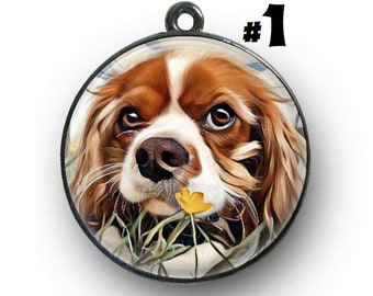 King Charles Cavalier Metal Stamped Medium Dog Spoiled Cav Small Dog Tag Steel Tag Light Weight tag Pet Tag Spoiled
