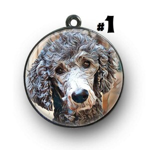 Grey Poodle - dog tag
