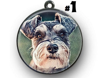 Schnauzer - dog tag