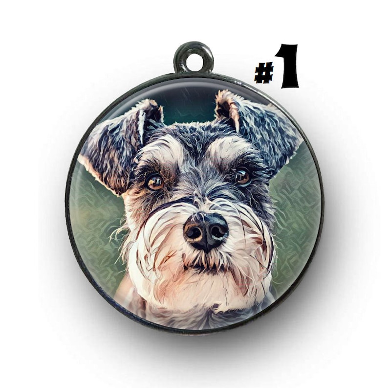 schnauzer dog tag