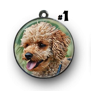 Apricot Poodle - dog tag