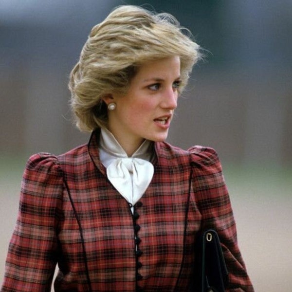 Princess Diana - Paint by numbers
