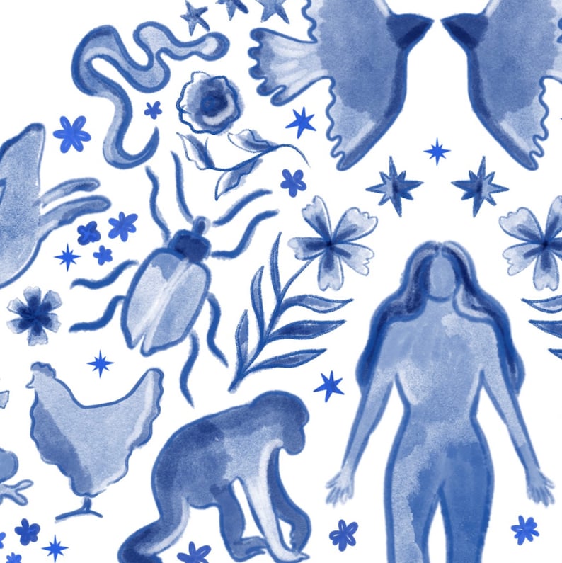 May include: A blue and white watercolor illustration featuring a variety of animals and plants. The illustration includes a bird, a bug, a monkey, a chicken, and a woman. The illustration is surrounded by flowers and stars.