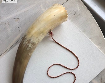 Germany-Horn-Cow Horn-Large German Horn-Decoration Only-Does Not Make Sound-German Souvenir-Vintage Souvenir-Vintage German-Natural Cow Horn