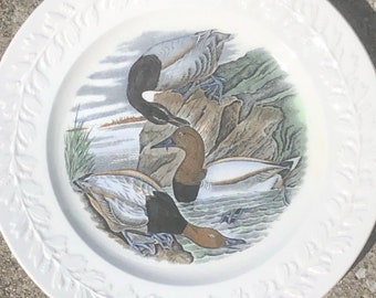 Canvas Back Duck - Collectors Plate - The Birds of America - John James Audubon-Adams-Printed From Fine Engravings Colored by Hand