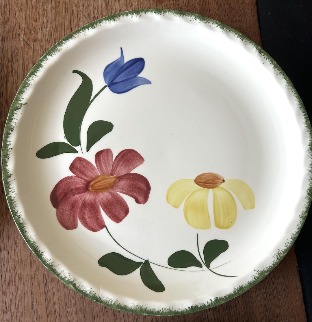 Blue Ridge-dinner Plate-blue and Yellow Flower-red Flower-green-blue ...