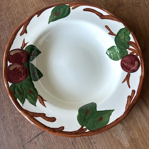 May include: A white ceramic plate with a brown rim and a decorative pattern of red apples and green leaves on brown branches. The plate has a shallow bowl shape and is likely for serving food.