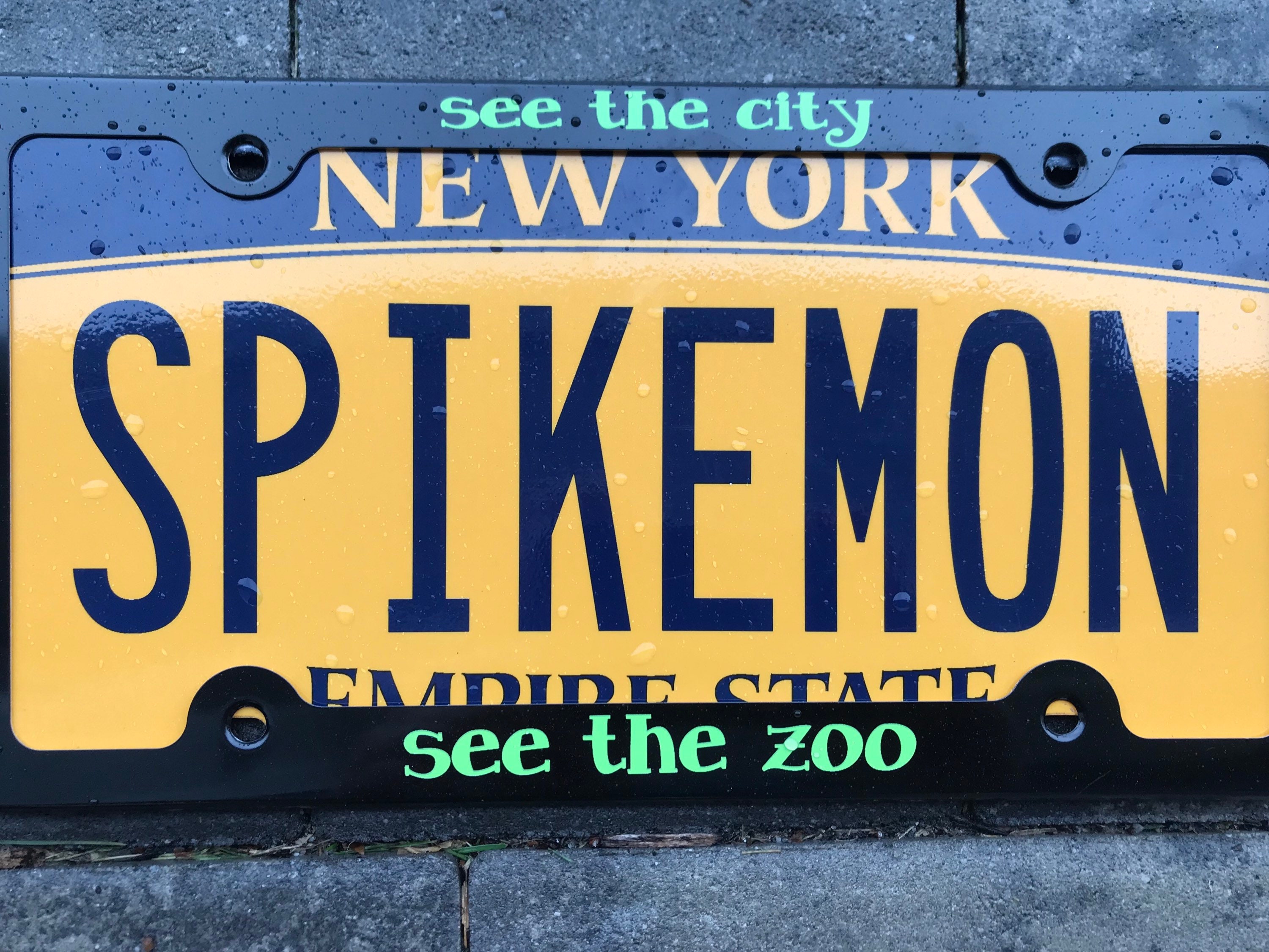 Slave to the Traffic Light License Plate Phrame Etsy