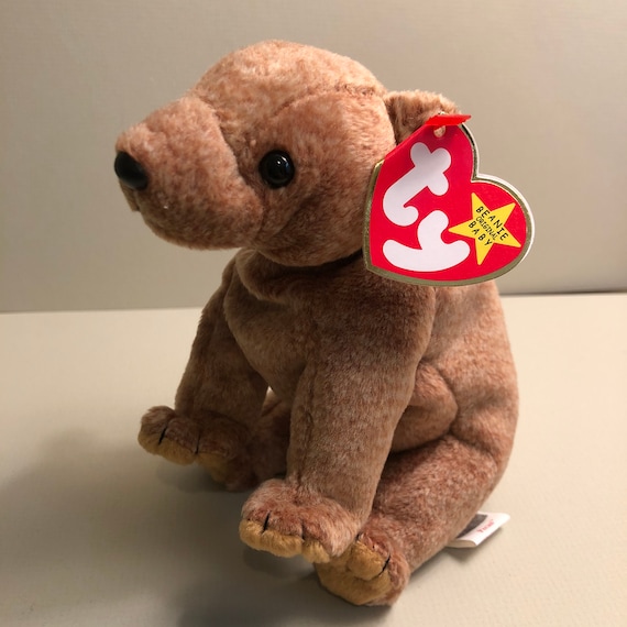 pecan beanie baby