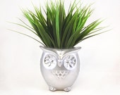 Cute Owl Planter / Mini Owl Desk Planter / Office Desk Accessories / Silver Owl