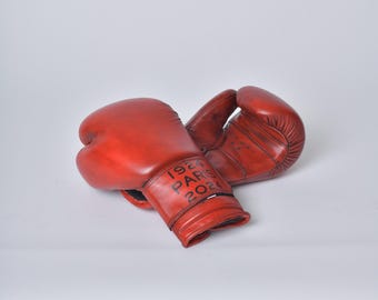 Training boxing gloves - Red collection 2024