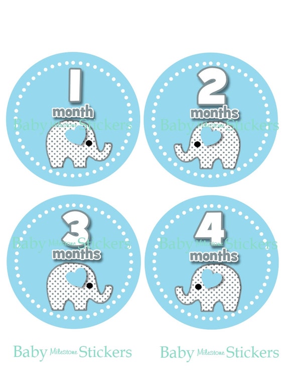 Monthly Baby Boy Stickers Baby Month Stickers Milestone One Piece Bodysuit  Stickers Dragon Monthly Photo Prop 084 