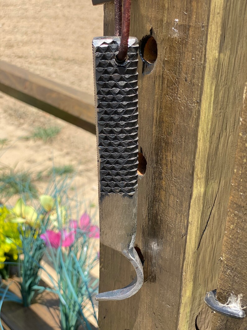 Heavy Duty Hand Farrier's Rasp Hoof Pick Etsy