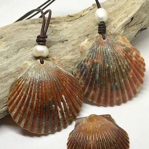 Scallop Seashell adjustable ocean beach necklace, sea necklace, everyday necklace, Surfer necklace
