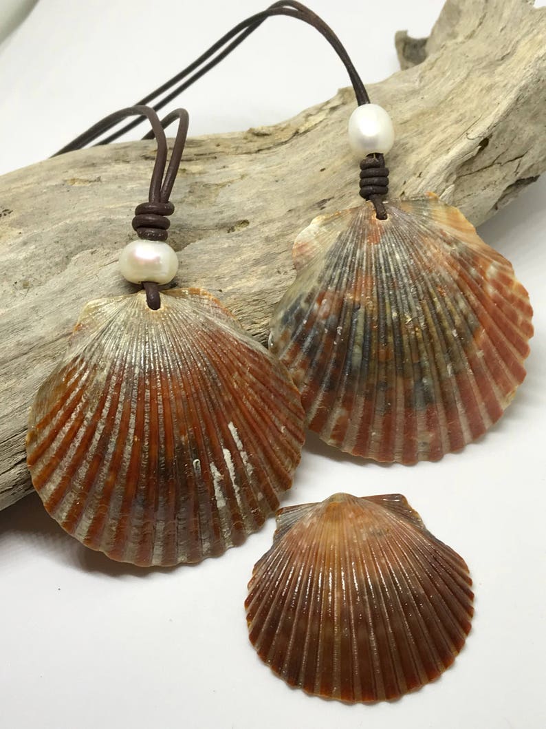 Scallop Seashell Adjustable Ocean Beach Necklace, Sea Necklace, Everyday Necklace, Surfer