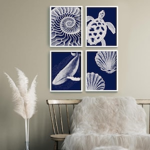 Set of 4 Navy Blue and white Ocean Animals, Sea Turtle, Whale, Shells and Nautilus Art Posters, Coastal Home Decor, Nautical Canvas Prints