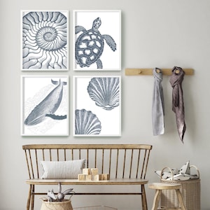 Set of 4 Indigo Blue Ocean Animals, Sea Turtle, Whale, Shells and Nautilus Art Posters, Coastal Home Decor, Nautical Canvas Prints