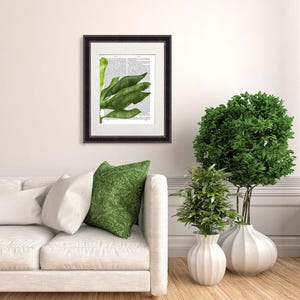 Tropical decor, Banana Leaf print, Canvas wall art, Botanical poster, Boho wall art decor, Green leaf art, Jungle decor, Book page art
