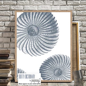 Modern Coastal Home Nautical Art Print, Blue White Anemone, minimalist Wall Art, Bathroom wall art, beach house decor, Under Water