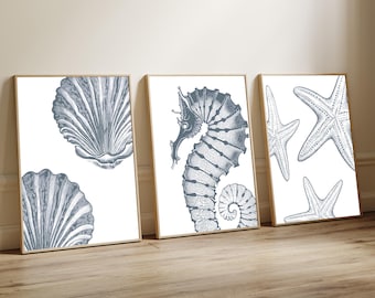 Set of 3 Nautical Prints, of Starfish, Seahorse and Shells Indigo Blue on White, Modern Beach House Decor, Coastal Home Hamptons Style Decor