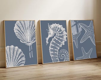 Set of 3 Nautical Prints, of Starfish, Seahorse and Shells on Indigo Blue, Modern Beach House Decor, Coastal Home Hamptons Style Decor