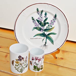Set mit 2 Portmeirion “The Botanic Garden” Keramikdosen und dekorativer Servierteller - Botanischer Druck - Botanica-Kollektion