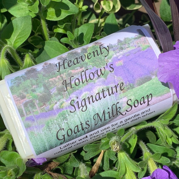 Heavenly Hollows Signature Goats Milk Soap, Pure Goats Milk Soap, Heavenly Hollow, 4 oz, Homemade,Milk Soap, Goat Soap