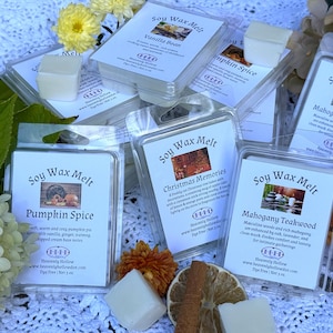 May include: Several soy wax melt packages are displayed, featuring scents like Pumpkin Spice, Vanilla Bean, and Mahogany Teakwood. Each package is clear, showcasing the wax melts and product information. The image includes flowers and dried citrus.