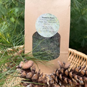 Organic Fresh Eastern Pine, White Pine Fresh Cut, Pine Needles Fresh Harvest at Order