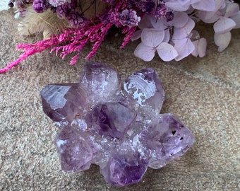 Amethyst Flower ,Flower Crystal Cluster,Amethyst Uruguay, Dark Purple ,Amethyst Flower Cluster,Amethyst Point Flower